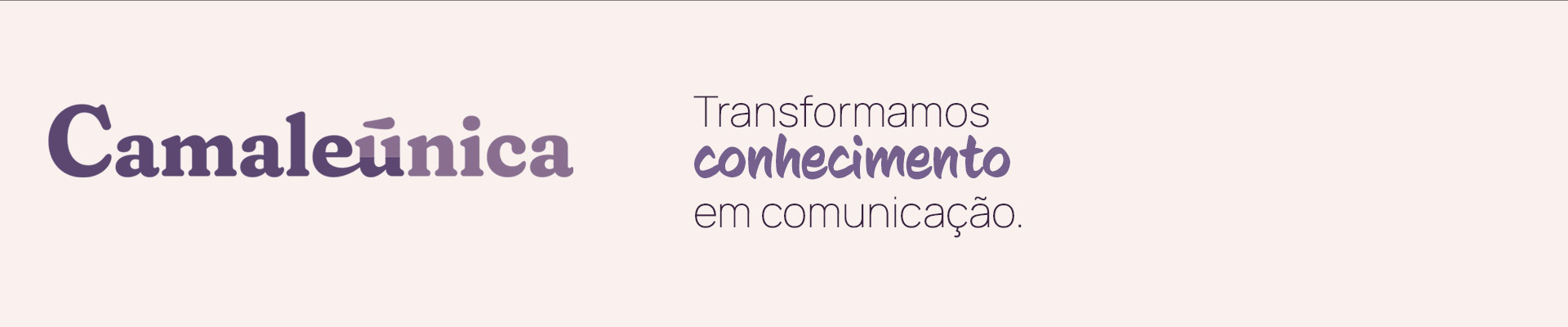 Hero Camaleunica Home Topo